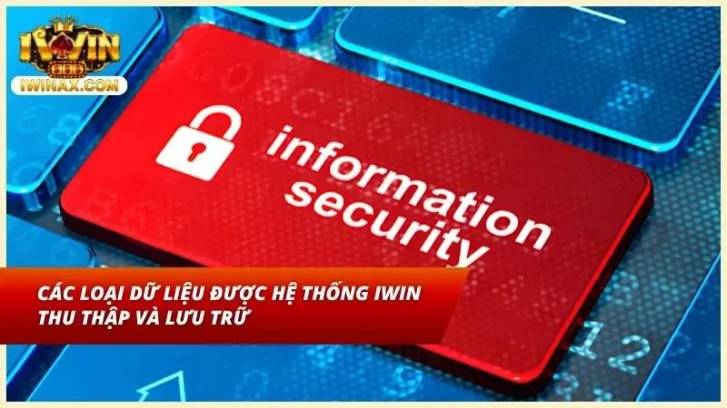 Các loại dữ liệu người dùng được thu thập và lưu trữ tại cổng game
