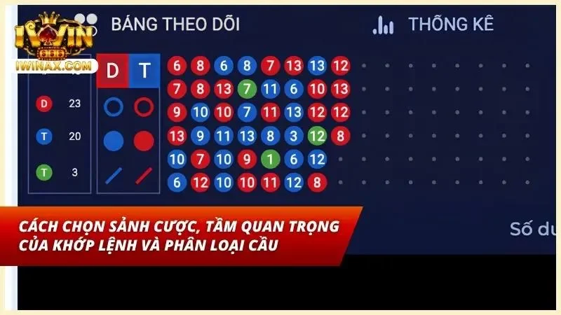 Khám phá cách tham gia Dragon Tiger đúng chuẩn đảm bảo an toàn